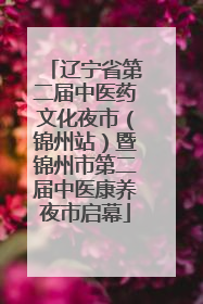 辽宁省第二届中医药文化夜市（锦州站）暨锦州市第二届中医康养夜市启幕