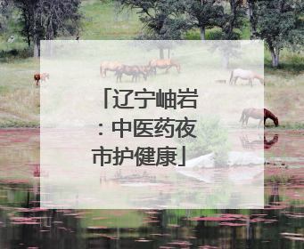 辽宁岫岩：中医药夜市护健康