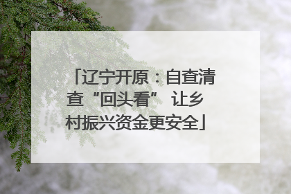 辽宁开原：自查清查“回头看” 让乡村振兴资金更安全