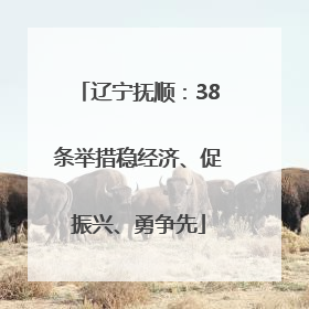 辽宁抚顺：38条举措稳经济、促振兴、勇争先
