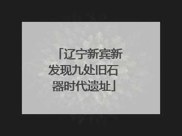 辽宁新宾新发现九处旧石器时代遗址