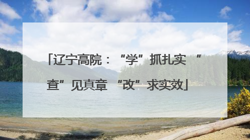 辽宁高院：“学”抓扎实 “查”见真章 “改”求实效