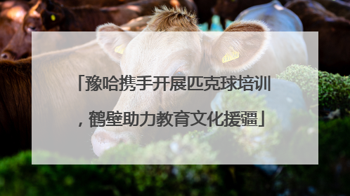 豫哈携手开展匹克球培训，鹤壁助力教育文化援疆
