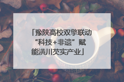 豫陕高校双擎联动 “科技+非遗”赋能潢川芡实产业