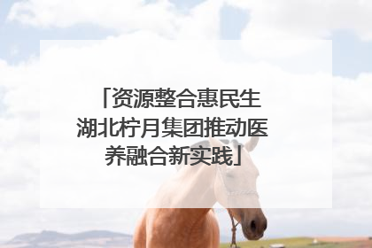 资源整合惠民生 湖北柠月集团推动医养融合新实践