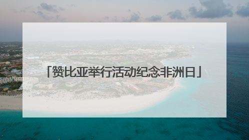 赞比亚举行活动纪念非洲日