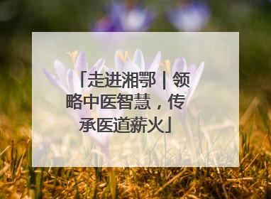 走进湘鄂｜领略中医智慧，传承医道薪火