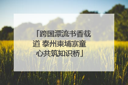 跨国漂流书香载道 泰州柬埔寨童心共筑知识桥