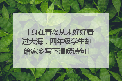 身在青岛从未好好看过大海，四年级学生却给家乡写下温暖诗句
