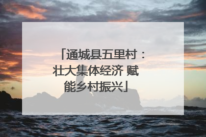通城县五里村：壮大集体经济 赋能乡村振兴