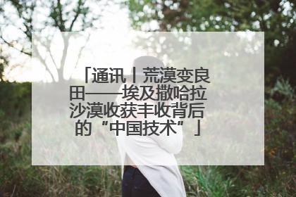 通讯丨荒漠变良田——埃及撒哈拉沙漠收获丰收背后的“中国技术”