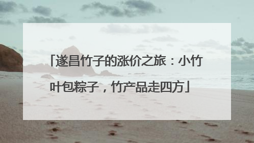 遂昌竹子的涨价之旅：小竹叶包粽子，竹产品走四方