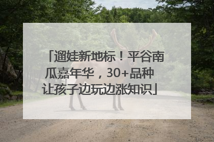 遛娃新地标！平谷南瓜嘉年华，30+品种让孩子边玩边涨知识