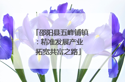 邵阳县五峰铺镇：精准发展产业 拓宽共富之路