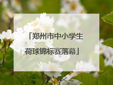 郑州市中小学生荷球锦标赛落幕