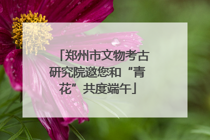 郑州市文物考古研究院邀您和“青花”共度端午