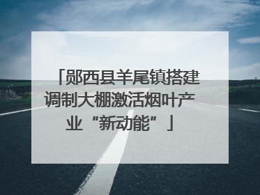 郧西县羊尾镇搭建调制大棚激活烟叶产业“新动能”