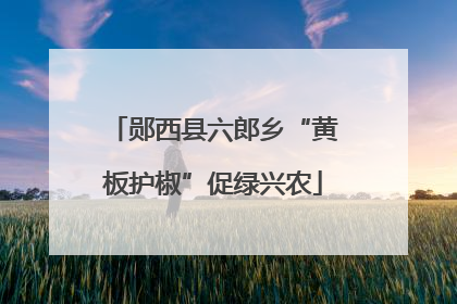 郧西县六郎乡“黄板护椒”促绿兴农