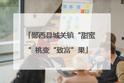 郧西县城关镇“甜蜜”桃变“致富”果