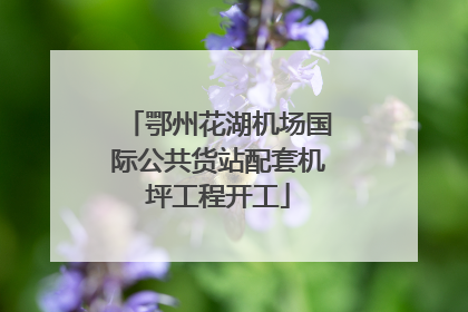 鄂州花湖机场国际公共货站配套机坪工程开工