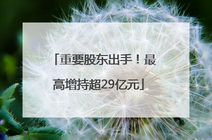 重要股东出手！最高增持超29亿元