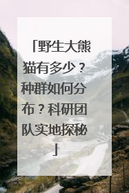 野生大熊猫有多少？种群如何分布？科研团队实地探秘