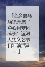 金乡县马庙镇开展“童心同梦同成长”运河大集文艺节目汇演活动
