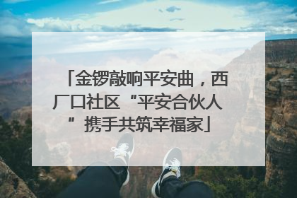 金锣敲响平安曲，西厂口社区“平安合伙人”携手共筑幸福家