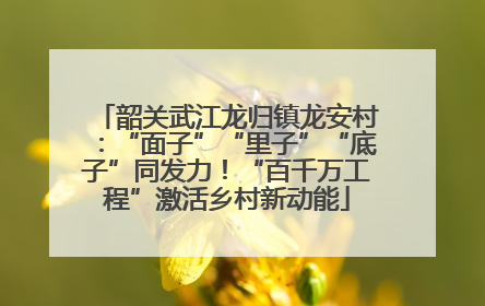 韶关武江龙归镇龙安村：“面子”“里子”“底子”同发力！“百千万工程”激活乡村新动能