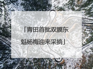 青田首批双膜东魁杨梅迎来采摘