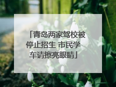 青岛两家驾校被停止招生 市民学车请擦亮眼睛