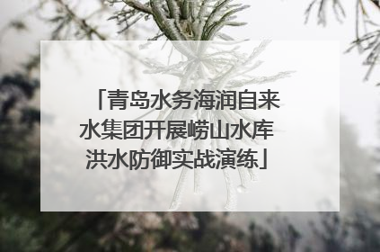 青岛水务海润自来水集团开展崂山水库洪水防御实战演练