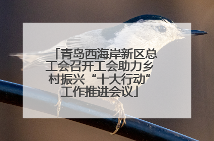 青岛西海岸新区总工会召开工会助力乡村振兴“十大行动”工作推进会议