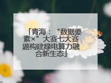青海：“数据要素×”大赛七大赛题构建绿电算力融合新生态