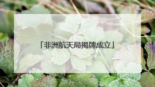 非洲航天局揭牌成立