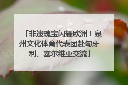 非遗瑰宝闪耀欧洲！泉州文化体育代表团赴匈牙利、塞尔维亚交流
