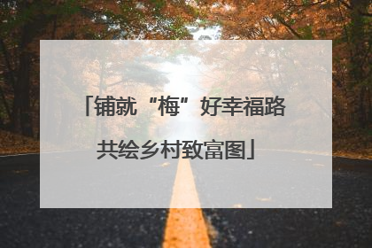 铺就“梅”好幸福路 共绘乡村致富图