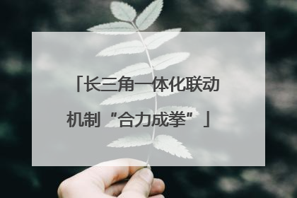 长三角一体化联动机制“合力成拳”