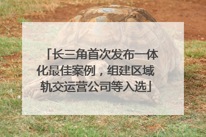 长三角首次发布一体化最佳案例，组建区域轨交运营公司等入选