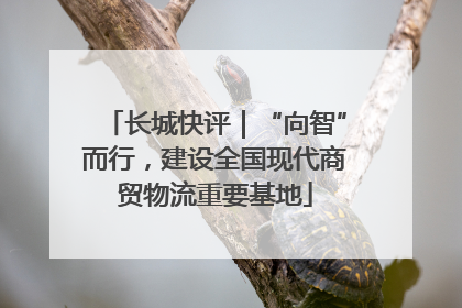 长城快评｜“向智”而行，建设全国现代商贸物流重要基地
