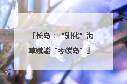 长岛：“驯化”海草赋能“零碳岛”