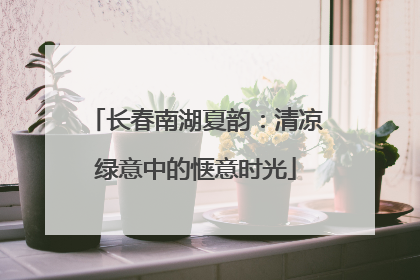 长春南湖夏韵：清凉绿意中的惬意时光