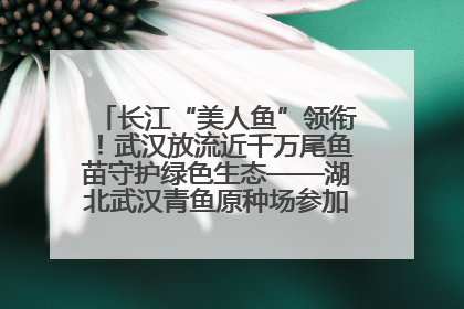 长江“美人鱼”领衔！武汉放流近千万尾鱼苗守护绿色生态——湖北武汉青鱼原种场参加2025年“全国放鱼日”增殖放流活动