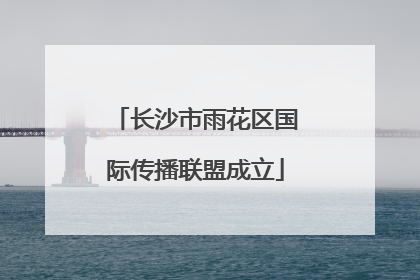 长沙市雨花区国际传播联盟成立