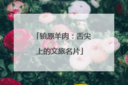 镇原羊肉：舌尖上的文旅名片