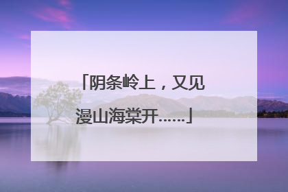 阴条岭上，又见漫山海棠开……