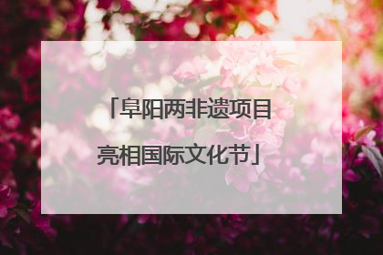 阜阳两非遗项目亮相国际文化节