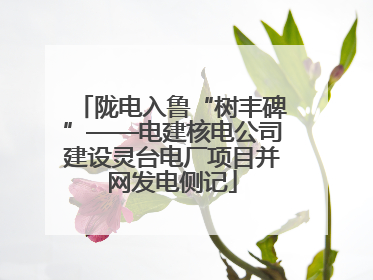 陇电入鲁“树丰碑”——电建核电公司建设灵台电厂项目并网发电侧记
