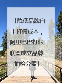 降低品牌自主打假成本，阿里巴巴打假联盟成立品牌抽检分盟