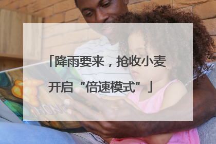 降雨要来，抢收小麦开启“倍速模式”